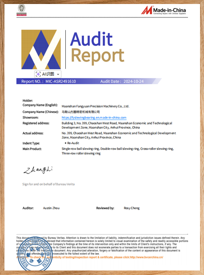 <div style="text-align: center;">BV Audit</div> 